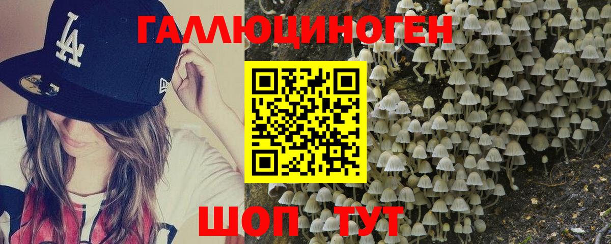 Псилоцибиновые грибы прущие грибы Бахчисарай