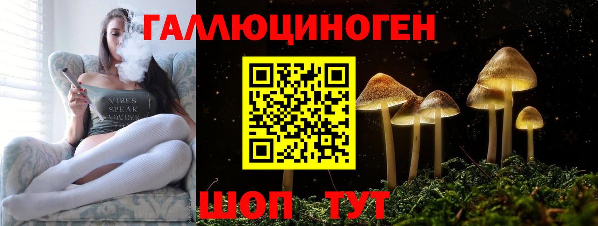 Псилоцибиновые грибы Psilocybe  закладка  Бахчисарай  Псилоцибиновые грибы мухоморы  Вход с VPN 